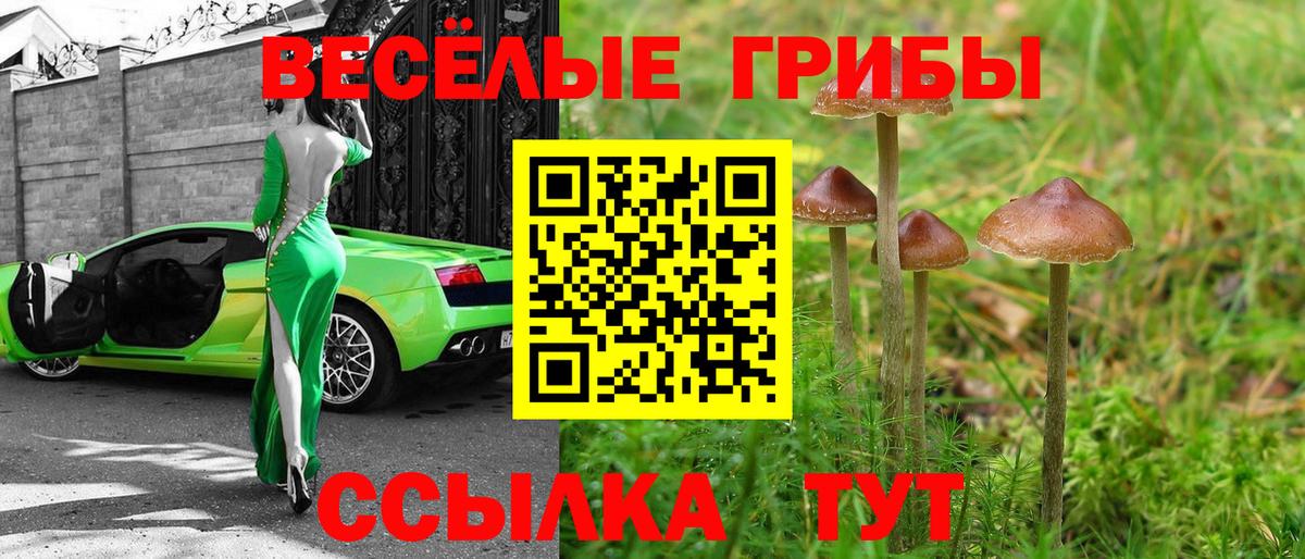 Галлюциногенные грибы Cubensis Карачаевск