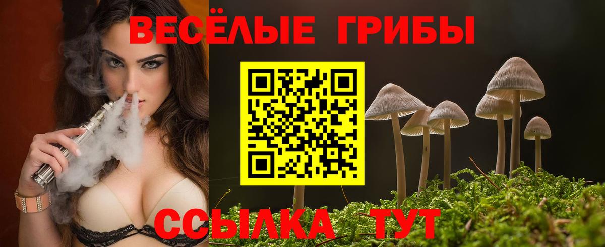 Галлюциногенные грибы прущие грибы  дарнет шоп  Вход с VPN  Карачаевск  Галлюциногенные грибы Cubensis 