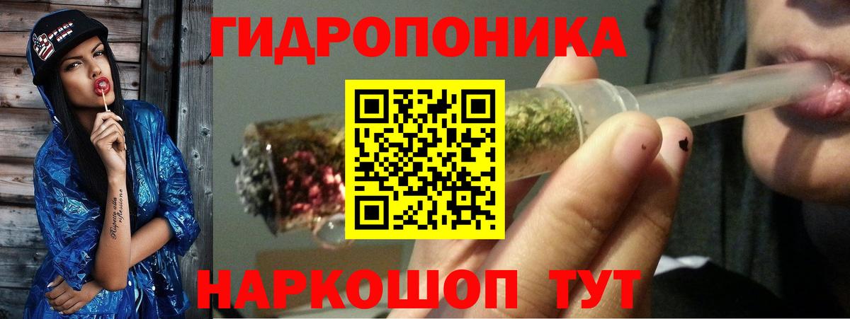 Бошки Шишки планчик Карачаевск